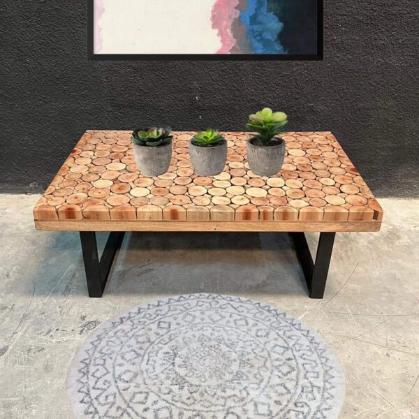 Coffee Table #6